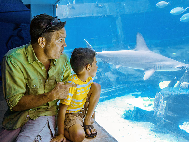 Fun Things to Do on Oahu: The Ultimate Family Guide