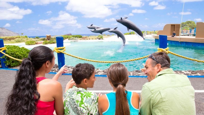 Dolphin Lagoon on Oahu Island