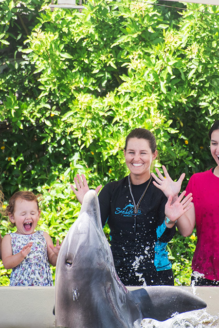 Guests having fun with a Dolphin