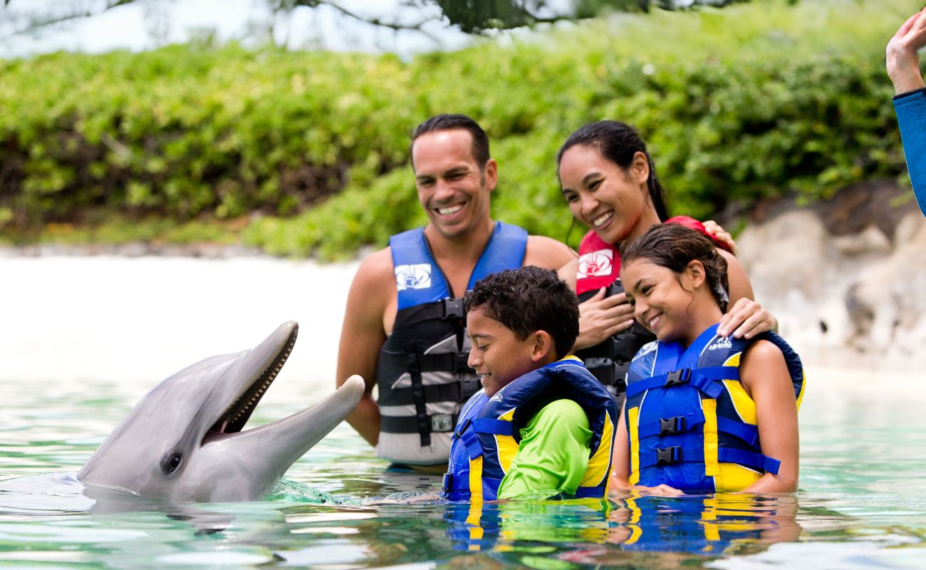 Guests having fun with a Dolphin