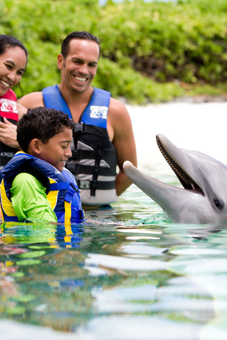 Guests having fun with a Dolphin