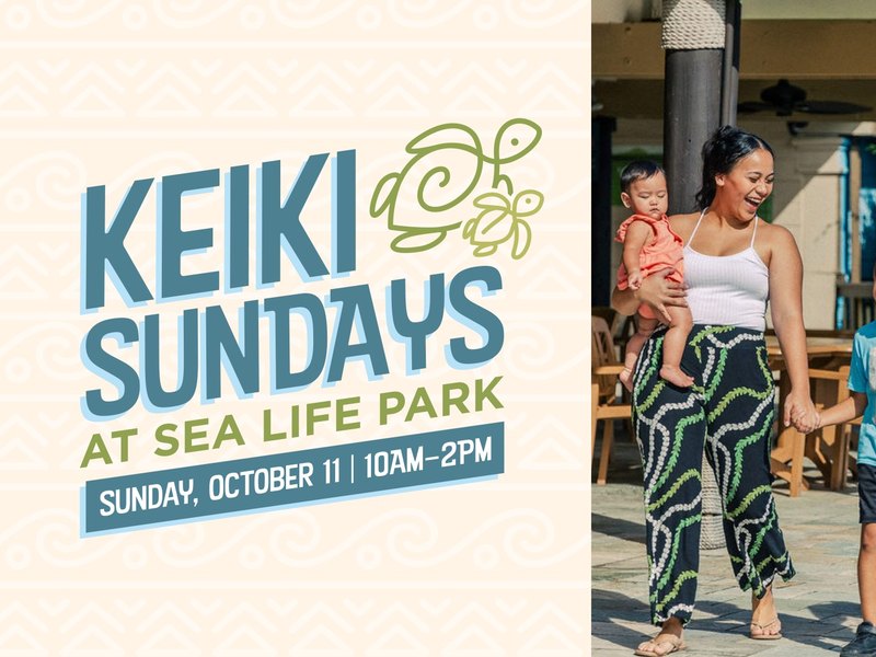 Keiki Sunday at Sea Life Park — Sunday, October 11, 10 AM to 2 PM